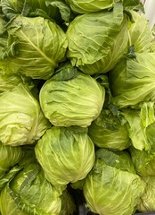 White cabbage in market close up