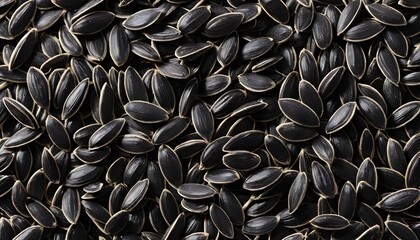 Black Sunflower Seeds Background Texture