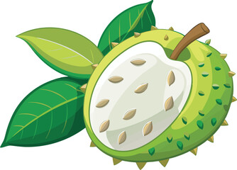 A vibrant vector art illustration of a fresh soursop fruit, showcasing its spiky green skin and juicy, tropical white flesh.