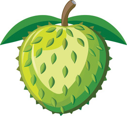 A vibrant vector art illustration of a fresh soursop fruit, showcasing its spiky green skin and juicy, tropical white flesh.