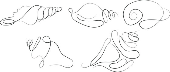 set of icons of various shells, mollusks and shells drawn with several lines in line art style, for various marine designs and company logos
