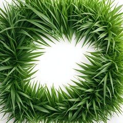 Green Grass Frame, White Background