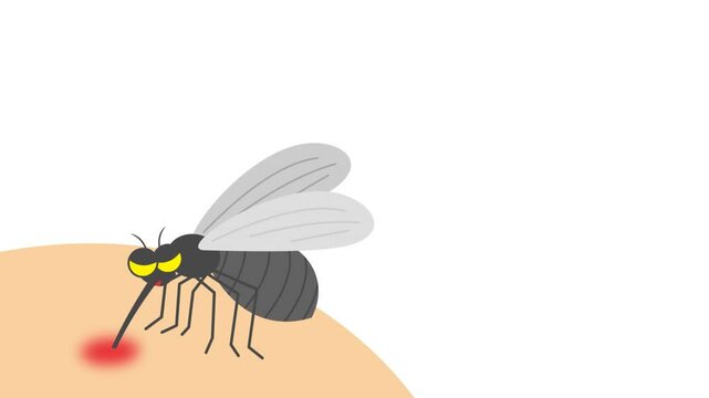 Animated Mosquito Sucking Blood from Skin &ndash; Health and Pest Concept