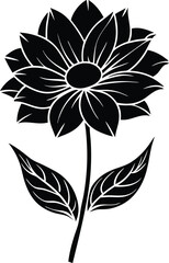 Floral Silhouette: Elegant silhouette of a delicate flower, capturing the simplicity and beauty of nature's artistry.