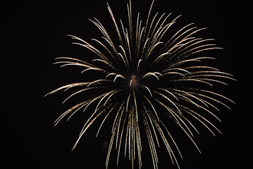 fireworks in the sky. Festive fireworks. Fireworks in the sky.