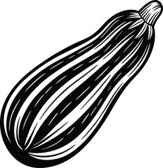 Zucchini Illustration: A detailed black and white illustration of a whole zucchini, featuring intricate line work and shading, ideal for culinary publications or farm-to-table branding. 