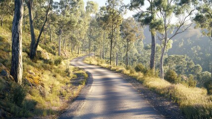 Fototapeta premium Winding road through forest at dawn. Possible use Stock photo for nature, travel, or environmental themes