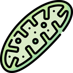 mitochondria (2) illustration on a white background     