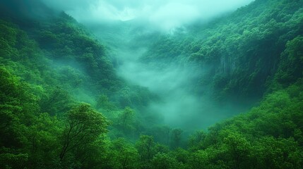 Misty valley shrouded in lush, vibrant greenery.