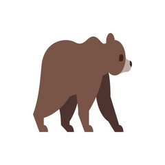 Illustration of a brown bear walking with a light colored snout on a white background in cartoon style