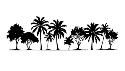 silhouette tree line drawing set, Side view, set of graphics trees elements outline symbol for architecture and landscape design drawing. Vector illustration in stroke fill in white. Tropica