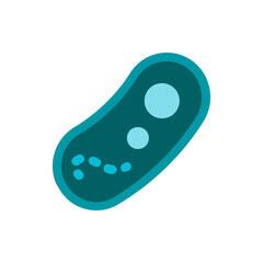 Illustration of a teal colored bacterium with internal structures on a white background surface view
