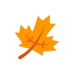 Illustration of a single orange maple leaf with visible veins on a white background in a simple style