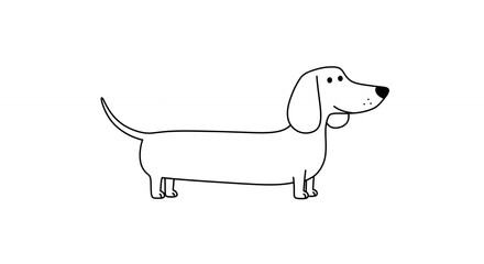 Outlined dachshund illustration