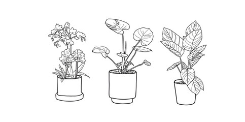illustration of ornamental plants, icons set of ornamental plants, hand drawn ornamental plants.
