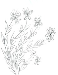 abstract floral background isolated on white background and copy space for text