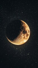 Large, full moon shining brightly in the night sky. The moon is the main subject of the photo