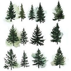 Fototapeta premium Seamless pattern of various hand drawn evergreen trees like pine spruce and fir in a lush watercolor style nature background Can be used for wallpapers textile prints packaging