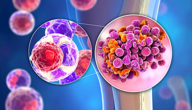Microscopic View of Candida Auris Fungus: Identification and Treatment