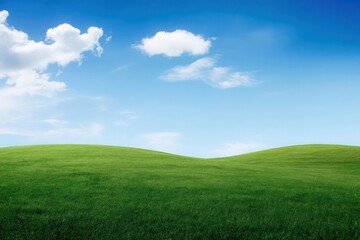 Fototapeta premium green grass hill and blue sky