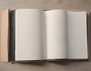 Blank photo album pages, open vertical design, ready for images , open, showcase
