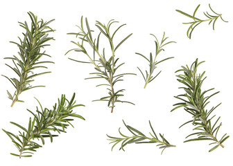 Naklejka premium Fresh aromatic rosemary isolated on white, collage