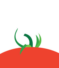 Design template background tomato vegetable unique