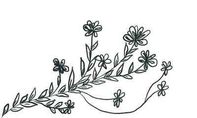 abstract floral background isolated on white background and copy space for text