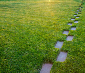 A path is cut through a lush green field