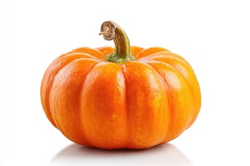 Obraz premium Close-up view of a small, round pumpkin.