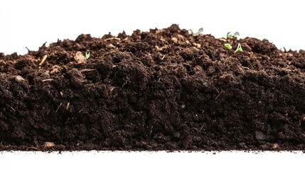 Rich, dark soil with emerging seedlings.  A mound of fertile earth, ready for planting.  Healthy, nutrient-rich soil, ideal for growing