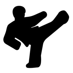 Silhouette of a karate practitioner executing a side kick with skill