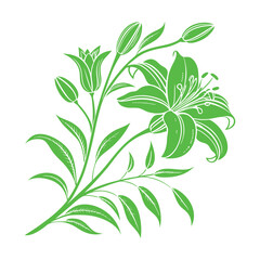 green leaves isolated on white background