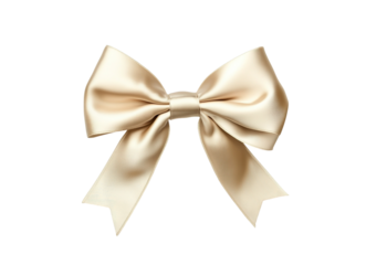 Elegant beige satin bow
