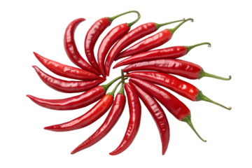 Glossy red chili peppers arranged in fan shape on white background

