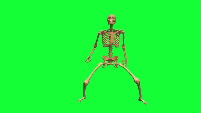 A skeleton dancing on a green screen