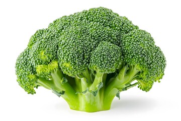 Fresh Broccoli Head Close-up