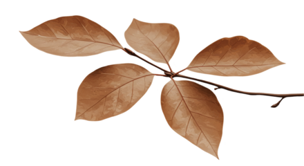 Bold 'Cheers!' text design with sparkles and vibrant colors isolated on transparent background, perfect for celebratory designs, toasts, event branding, and festive invitations