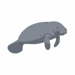 Fototapeta premium Isolated Manatee Illustration on White Background Stock Image