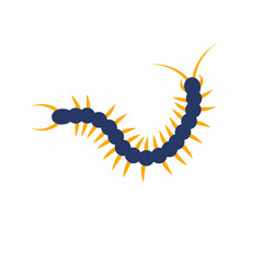Obraz premium Flat vector of centipede insect illustration