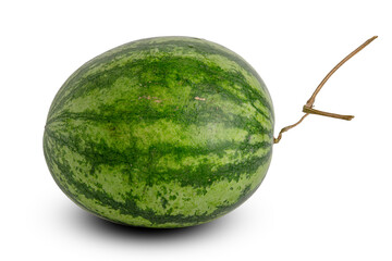 Watermelon Isolated on White Background