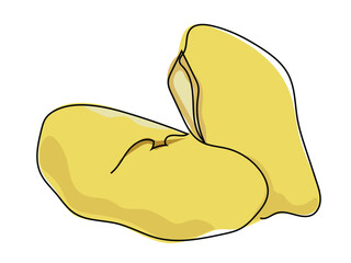 Durian, in continuous line, draws on a white background.