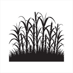 Sugarcane Vector Illustration for Agricultural and Food Design