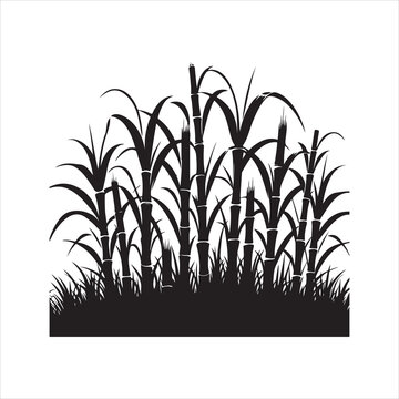 Sugarcane Vector Illustration for Agricultural and Food Design