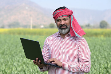Close shot of Indian Farmer working on laptop looking at camera holding green wheat plant while...