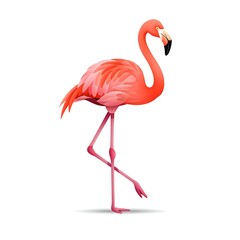 Fototapeta premium Elegant Pink Flamingo Standing Gracefully on One Leg Isolated on White