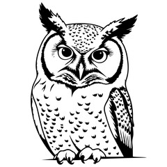 Owl SVG Vector Outline Black and White Graphic
