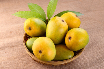 Indian Most popular Devgad Hapus Mango or Aamba in a basket isolated on Jute Background 