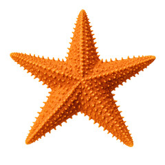 Orange Starfish with Textured Surface, Isolated on Transparent Background