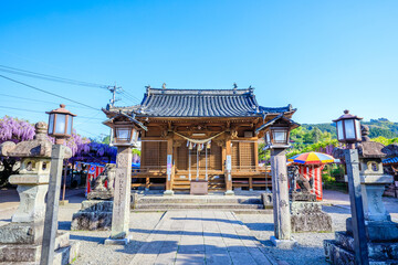 初夏の黒木素盞鳴神社　福岡県八女市　Kuroki Susanoo Shrine in early summer. Fukuoka Pref, Yame City.